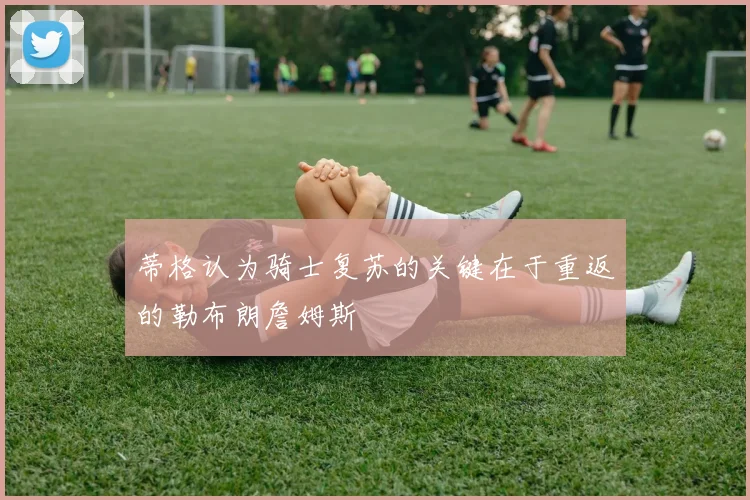蒂格认为骑士复苏的关键在于重返的勒布朗詹姆斯
